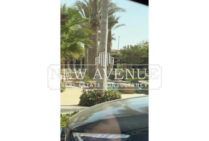 8098134 - Property Image 2