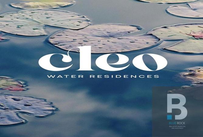 8213704 - صورة العقار 3