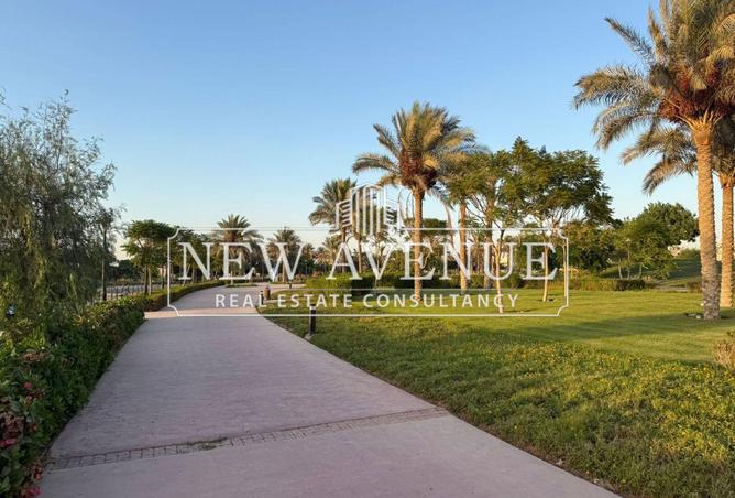 8139229 - Property Image 2