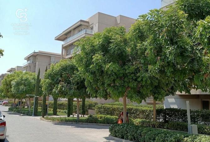 7930386 - صورة العقار 3