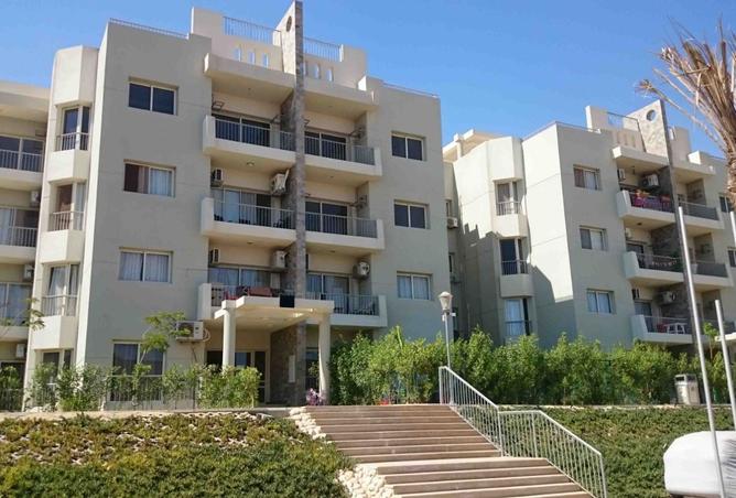 8017877 - الصورة الرئيسية للعقار