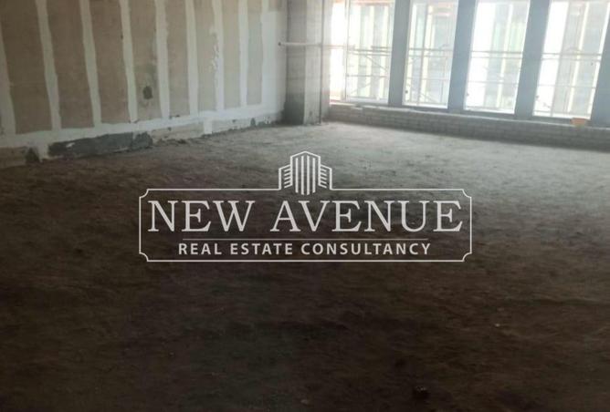 8096949 - Property Image 3