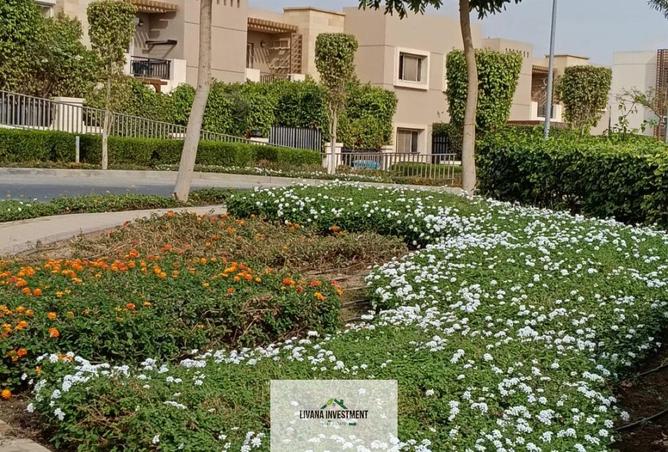 8302543 - صورة العقار 3