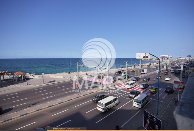 8232529 - الصورة الرئيسية للعقار