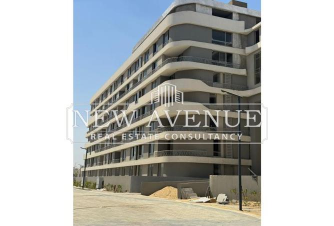 8151773 - Property Image 3
