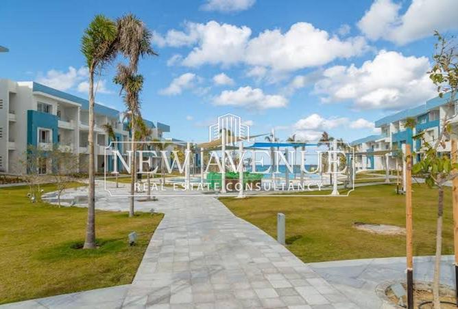 8342019 - صورة العقار 3