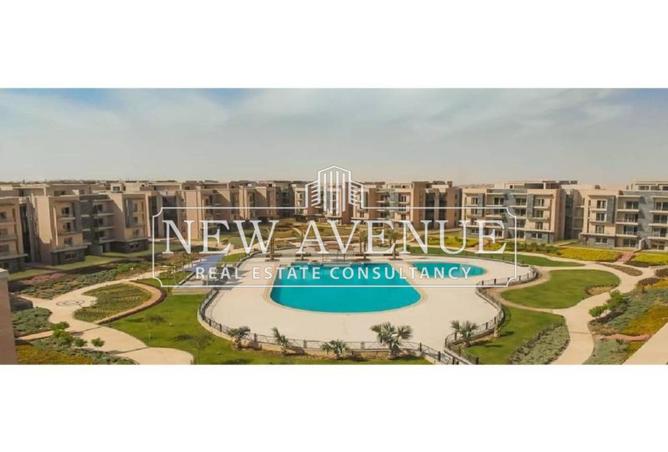 8419126 - Property Image 2