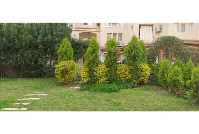 7955033 - الصورة الرئيسية للعقار