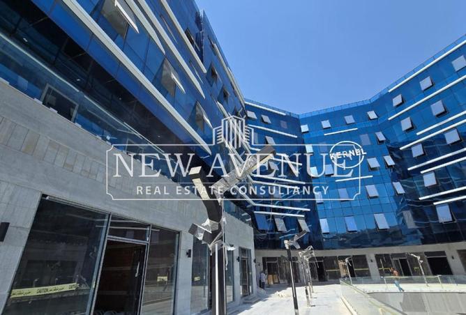 8293547 - Property Image 3