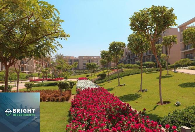 8258349 - صورة العقار 3