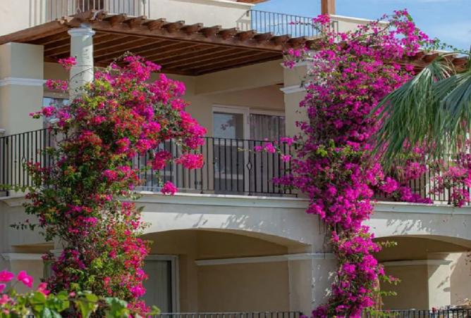 8488133 - صورة العقار 3