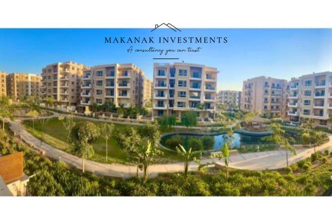 7937427 - Property Image 3