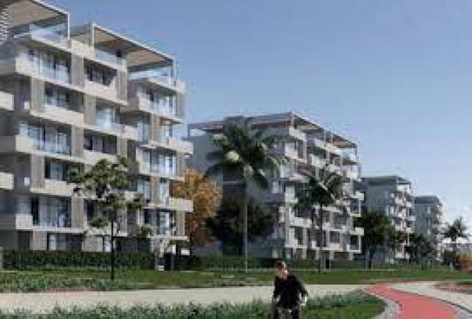 8003977 - Property Image 3