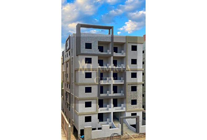 8082739 - صورة العقار 3