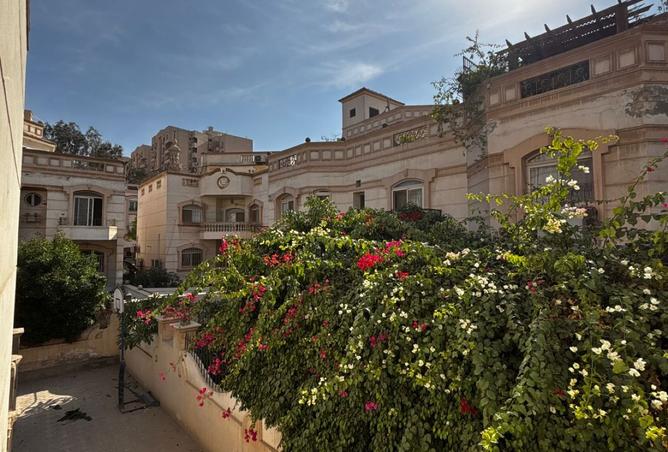 8517384 - صورة العقار 3