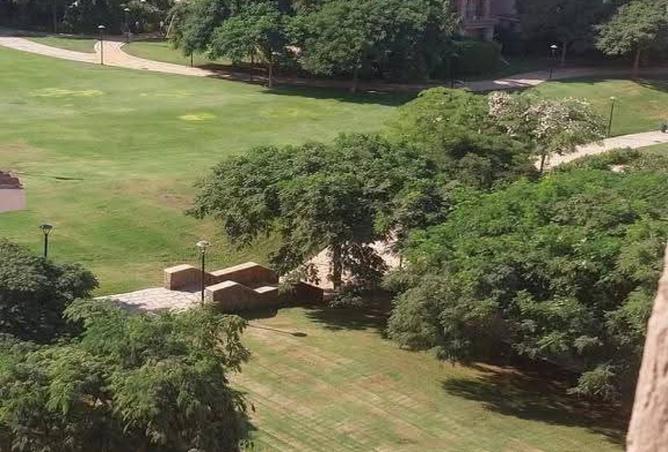 8145079 - صورة العقار 2