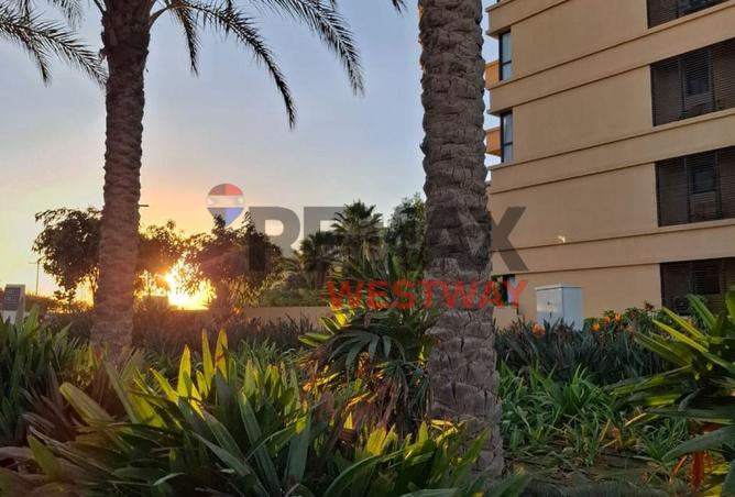 8399450 - صورة العقار 2