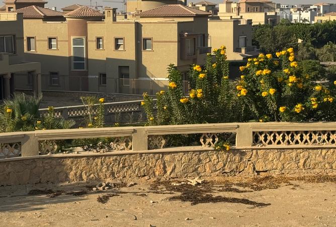 8167545 - صورة العقار 3