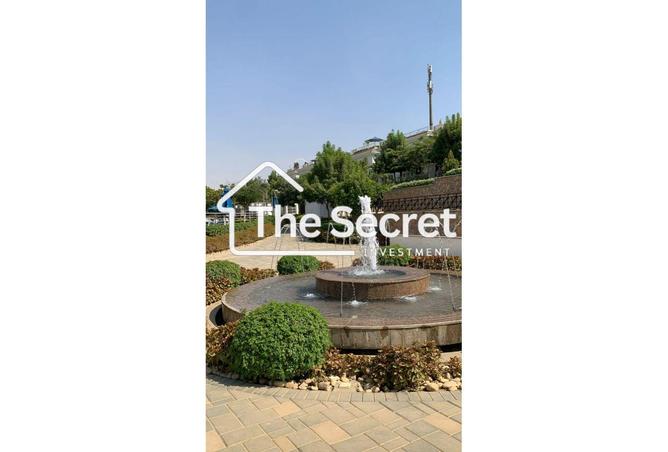 8493879 - Property Image 3