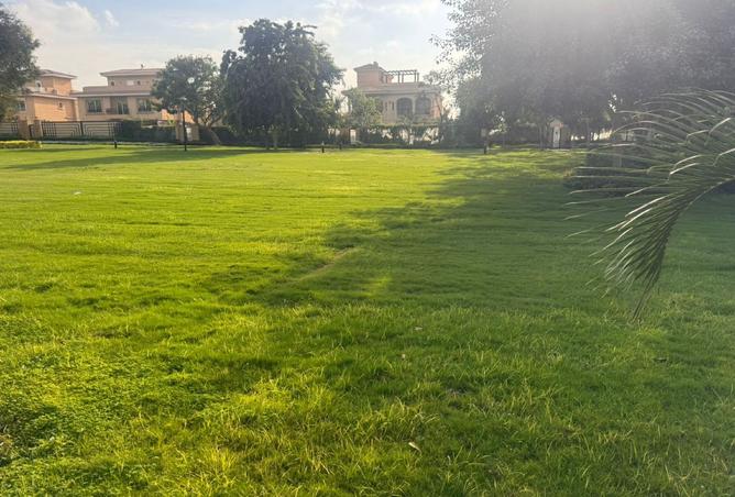 8434385 - صورة العقار 2