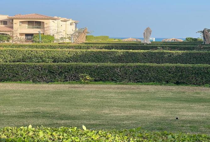 8197397 - صورة العقار 3