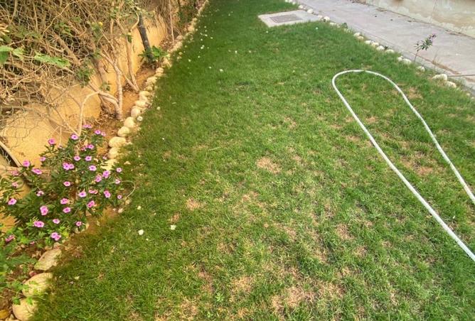 8191348 - Property Image 2