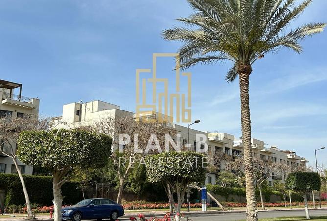 8160262 - Property Image 3