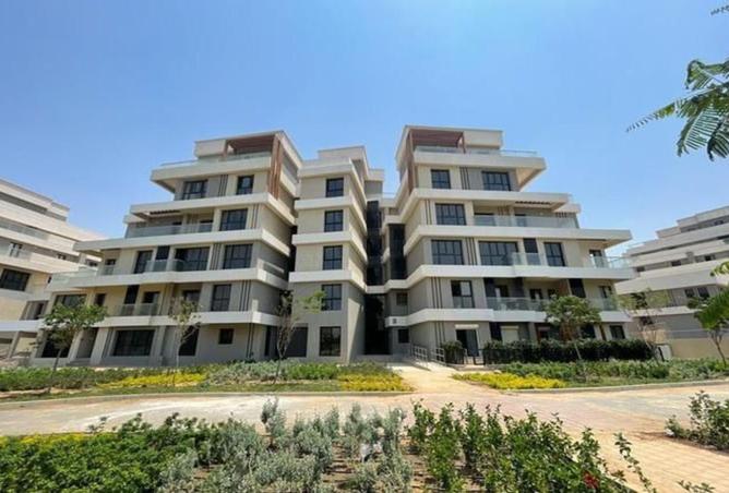 7939421 - Property Image 3