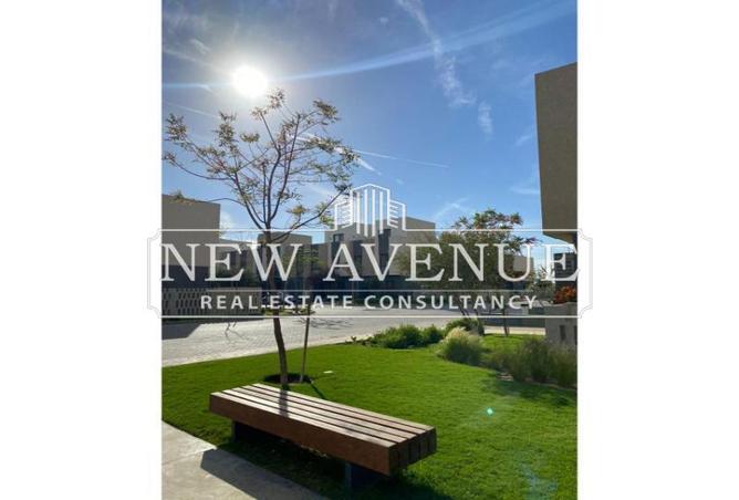 8117035 - Property Image 3