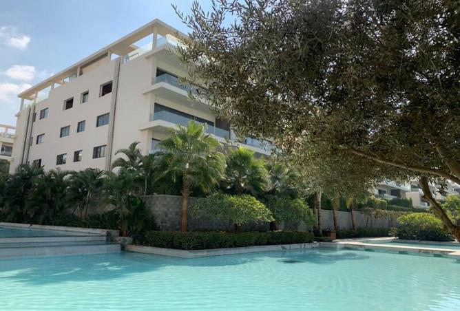 8220570 - Property Image 3