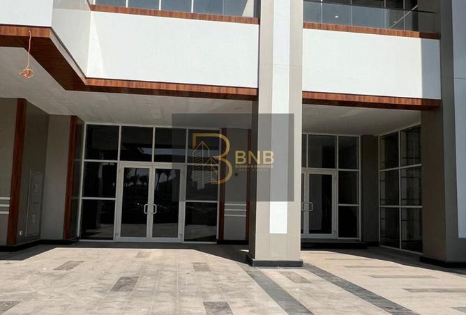 8116434 - صورة العقار 3