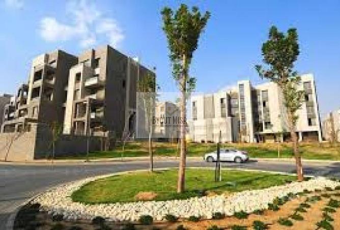 8372522 - Property Image 3