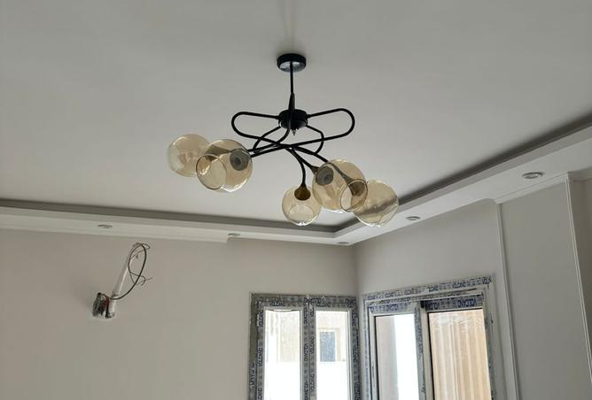 8194601 - صورة العقار 2