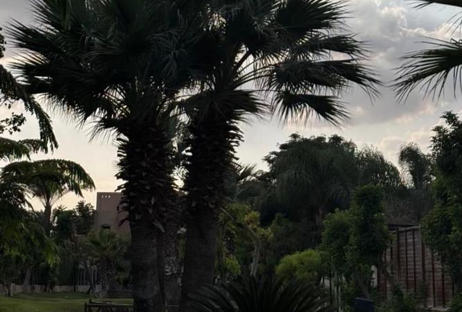 8393921 - صورة العقار 2