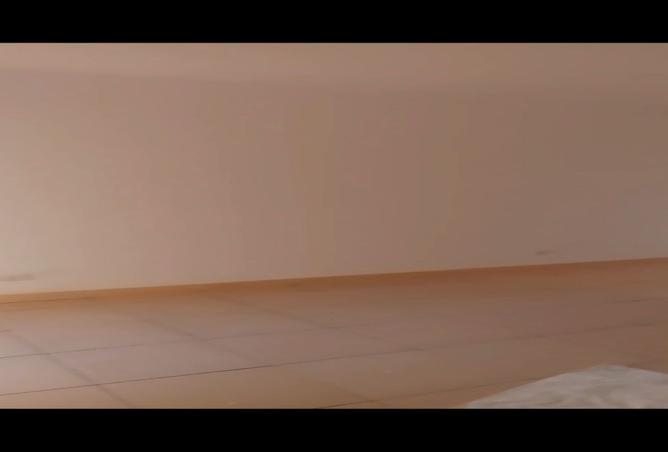 8132622 - Property Image 2