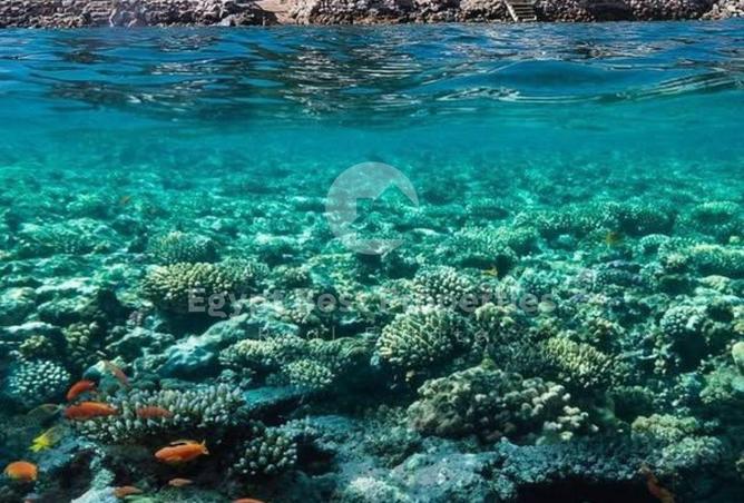 8537568 - الصورة الرئيسية للعقار