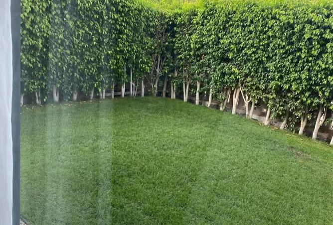 8381749 - Property Image 3