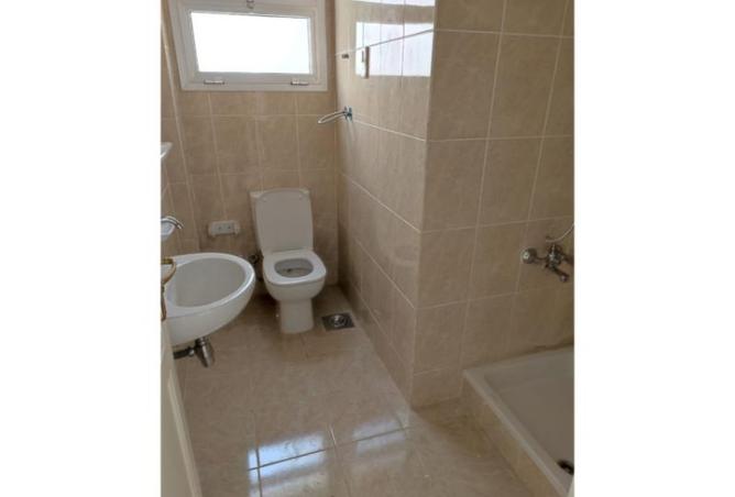 8558391 - Property Image 3