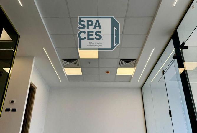 8099009 - Property Image 3