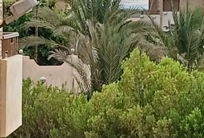 8147285 - Property Image 2