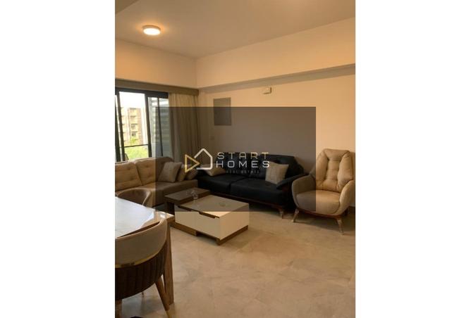 7896991 - Property Image 3