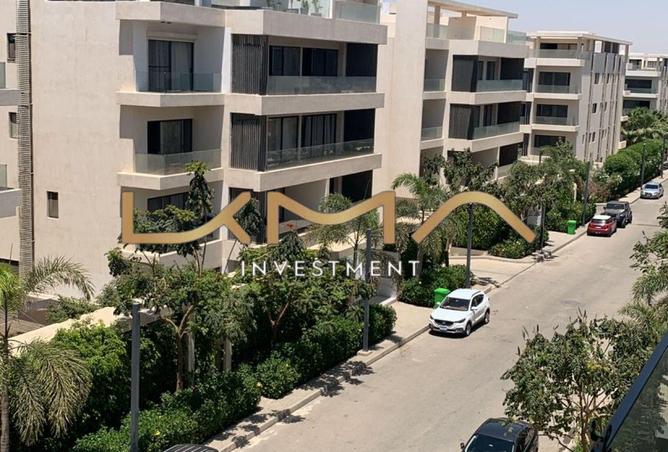 8395855 - Property Image 3