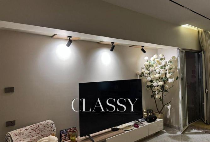 8222856 - Property Image 3