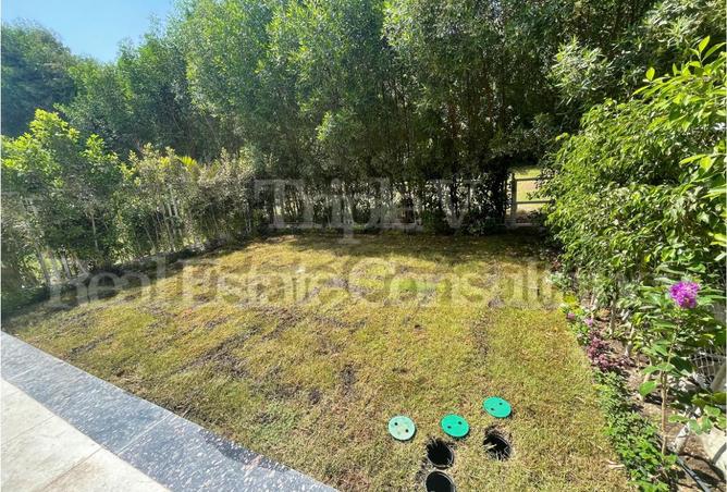 8022918 - Property Image 2
