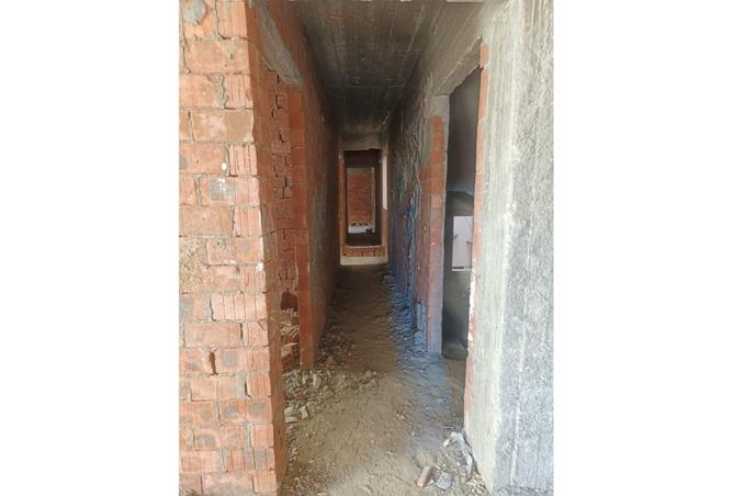 8336621 - Property Image 3