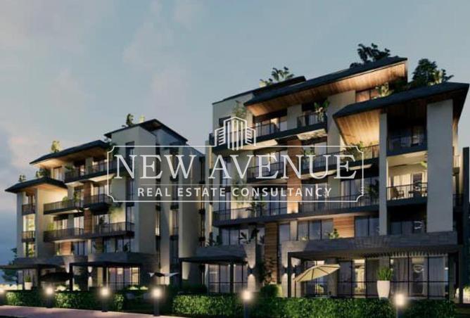 8050680 - Property Image 3