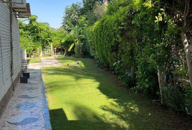 7904719 - Property Image 3