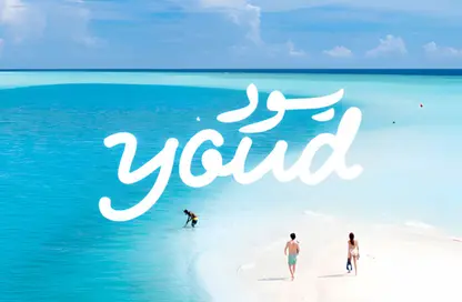 Chalet - 3 Bedrooms - 2 Bathrooms for sale in Youd - Ras Al Hekma - North Coast