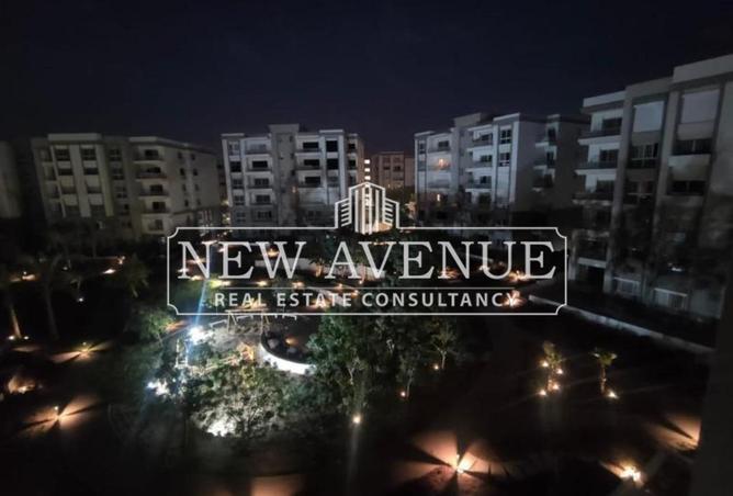 8376989 - Property Image 3