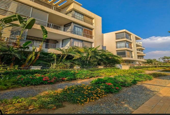 8323658 - Property Image 3